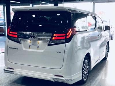 埃爾法四座櫻花版蒙娜麗莎商務(wù)車驚艷全國(guó)